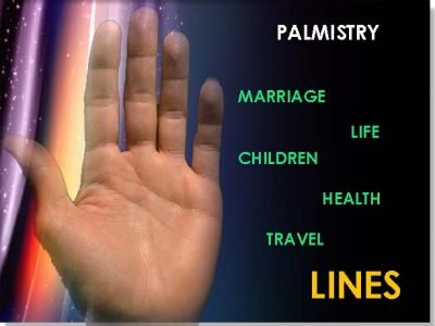 palm1